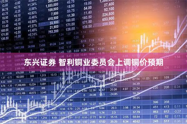 东兴证券 智利铜业委员会上调铜价预期