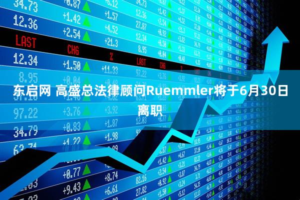 东启网 高盛总法律顾问Ruemmler将于6月30日离职