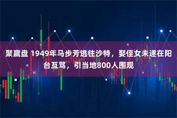 聚赢盘 1949年马步芳逃往沙特，娶侄女未遂在阳台互骂，引当地800人围观
