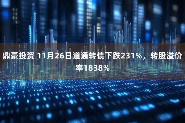鼎豪投资 11月26日道通转债下跌231%，转股溢价率1838%